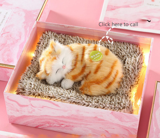 Kawaii  Japanese  Korean Simulation small bamboo charcoal cat gift box